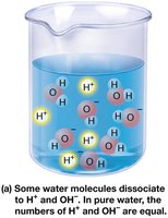 Behavior of acids and bases in water