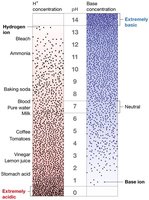 pH scale from acidic to basic