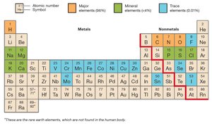 Periodic table highlighting major, mineral, and trace elements in the human body