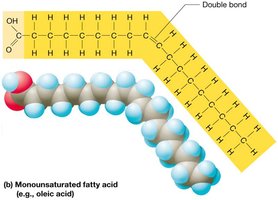 Monounsaturated fatty acid structure