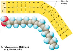 Polyunsaturated fatty acid structure