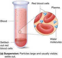 Blood as a suspension with settled red blood cells