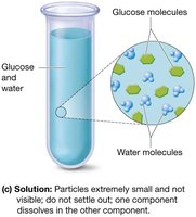 Glucose solution showing dissolved molecules