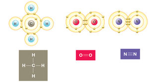 Examples of single, double, and triple covalent bonds