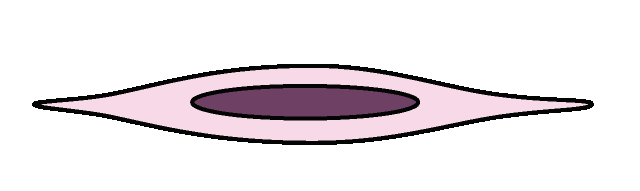 Squamous epithelial cell