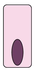 Columnar epithelial cell