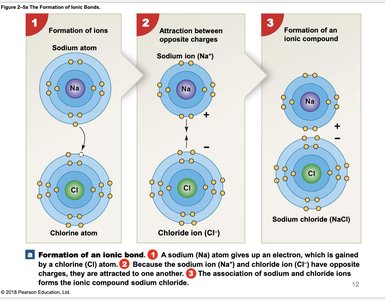 Formation of ionic bonds between sodium and chlorine