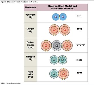 Covalent bonds in common molecules