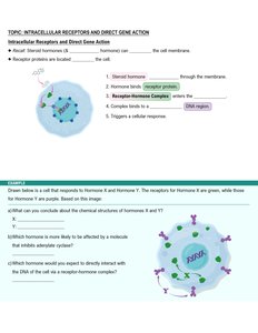 Steroid hormone intracellular receptor mechanism