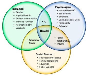 Venn diagram of the biopsychosocial model showing biological, psychological, and social factors overlapping to influence health