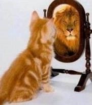 A kitten looking in a mirror and seeing a lion, symbolizing self-efficacy and self-perception