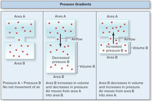 Pressure gradients and airflow