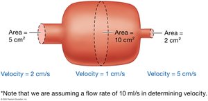 Velocity and area relationship