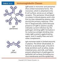 Immunoglobulin classes table 1