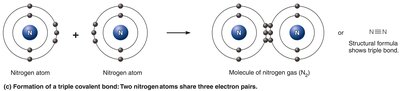 Formation of covalent bonds (triple)