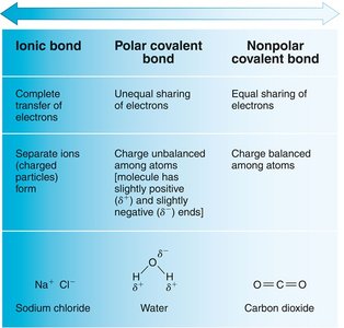 Ionic, polar covalent, and nonpolar covalent bonds compared