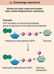 Exchange reactions