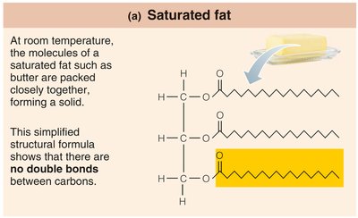Saturated fatty acids