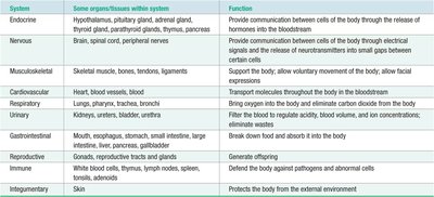 Table of organ systems, their organs, and functions