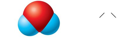 Water molecule: polar covalent bond