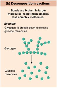 Decomposition and exchange reactions