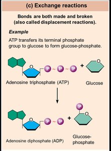 Exchange reaction example