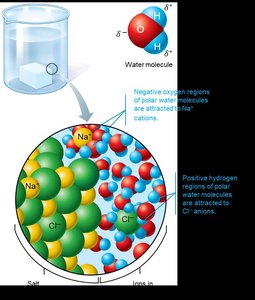 Salt dissociation in water
