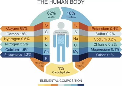 Elemental composition of the human body