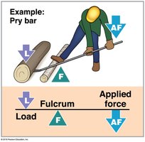 Lever and fulcrum example