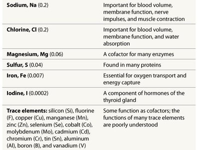Continuation of principal elements table