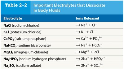 Table of important electrolytes that dissociate in body fluids