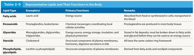 Table of representative lipids and their functions