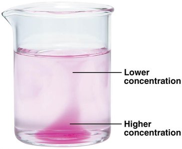 Diffusion and equilibrium