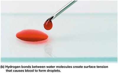 Surface tension in water droplets