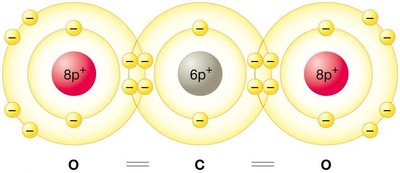 Octet rule and duet rule
