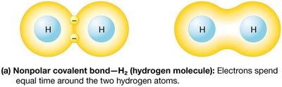 Nonpolar vs. polar covalent bonds