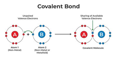 Covalent bond formation