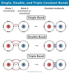 Single, double, and triple covalent bonds