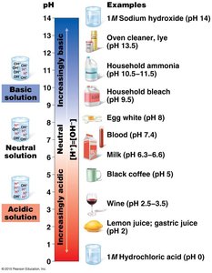 pH scale with examples of common substances