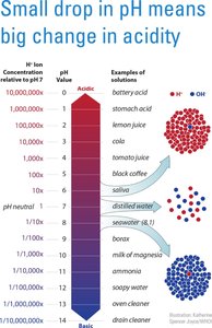 pH scale showing ion concentration and examples