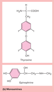 Monoamine hormone structures