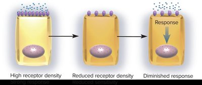 Nuclear receptor mechanism