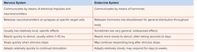 Comparison table of nervous and endocrine systems