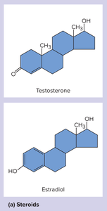 Steroid hormone structures