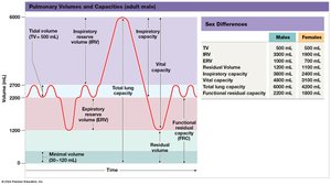 Pulmonary volumes and capacities
