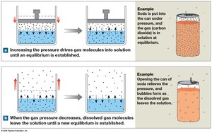 Henry's Law and solubility