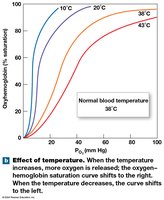 Effect of temperature on hemoglobin saturation