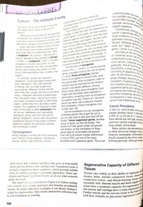 Cancer in colon endoscopy image