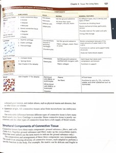 Table of connective tissue classes