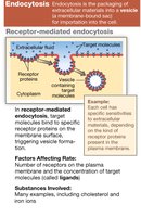 Diagram of receptor-mediated endocytosis